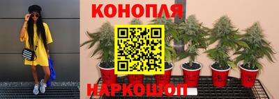 spice Бузулук