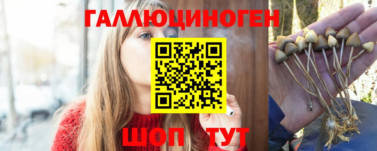 Химки  Псилоцибиновые грибы мухоморы  цены   Вход с VPN 